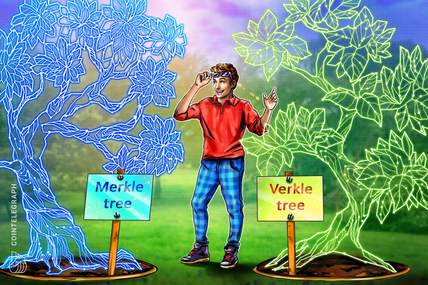 Деревья Меркла против деревьев Веркла, объяснение