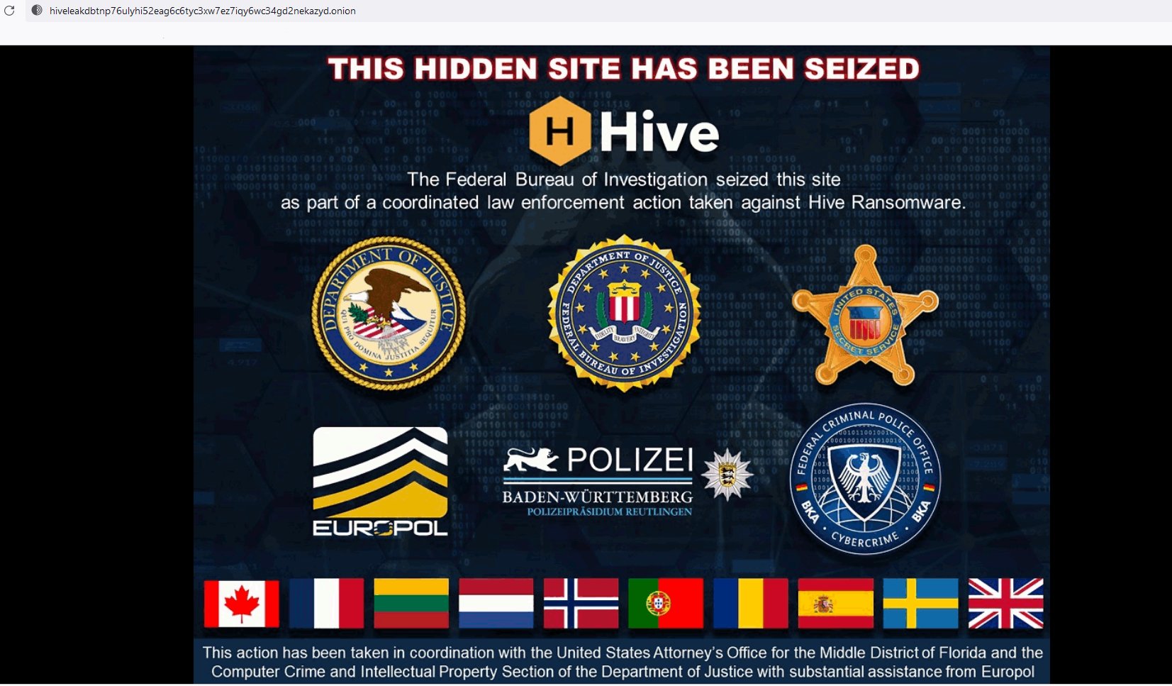 Министерство юстиции США заблокировало веб-сайт банды вымогателей Hive