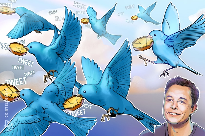Илон Маск представляет возможности монетизации Twitter для создателей контента