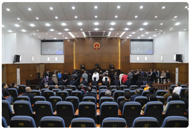 Виновные предстали перед вынесением приговора в народном суде округа Чунцин Тунлян. 
